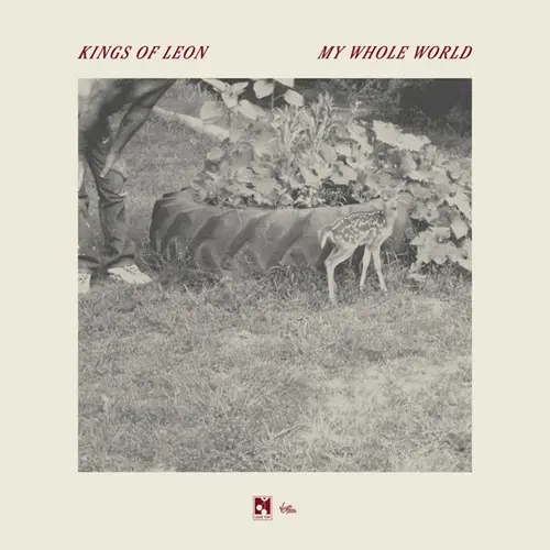 Kings Of Leon – My Whole World